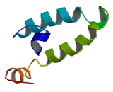 DnaJ/HSP40 Homolog Subfamily B, Member 14 (DNAJB14)