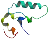 DnaJ/HSP40 Homolog Subfamily C, Member 13 (DNAJC13)