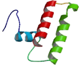 DnaJ/HSP40 Homolog Subfamily C, Member 19 (DNAJC19)