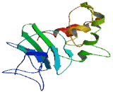 Dopamine Receptor Interacting Protein 1 (DRIP1)