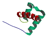 Double Homeobox Protein A (DUXA)
