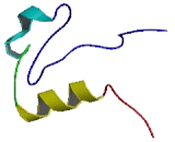 Doublesex And Mab3 Related Transcription Factor 3 (DMRT3)