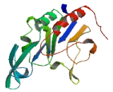 CTD Nuclear Envelope Phosphatase 1 (CTDNEP1)