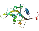 Dynein, Axonemal, Heavy Chain 8 (DNAH8)