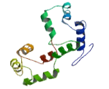 EF-Hand Calcium Binding Domain Protein 11 (EFCAB11)