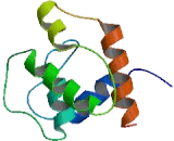 EH Domain Binding Protein 1 (EHBP1)