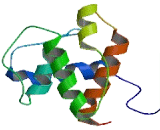 EH Domain Binding Protein 1 Like Protein 1 (EHBP1L1)