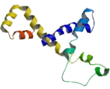 ELMO/CED-12 Domain Containing Protein 1 (ELMOD1)