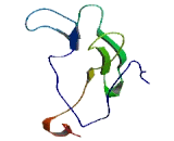 Early Epithelial Differentiation Associated Protein (EEDA)