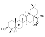 Echinocystic Acid (EA)