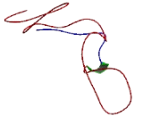 Echinoderm Microtubule Associated Protein Like Protein 3 (EML3)