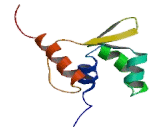 Elongation Factor RNA Polymerase II (ELL)