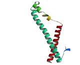 Elongation Factor RNA Polymerase II Like Protein 3 (ELL3)