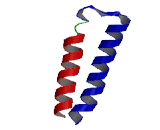 Envoplakin Like Protein (EVPLL)
