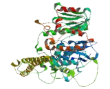 Erythrocyte Membrane Protein Band 4.1 Like Protein 4A (EPB41L4A)