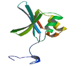 Eukaryotic Translation Initiation Factor 1B (EIF1B)