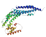 Exocyst Complex Component 3 Like Protein 2 (EXOC3L2)