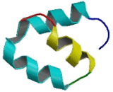 F-Box And Leucine Rich Repeat Protein 8 (FBXL8)