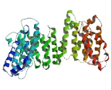 FAST Kinase Domains Protein 5 (FASTKD5)