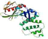 FERM, RhoGEF And Pleckstrin Domain Containing Protein 2 (FARP2)