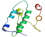 FIC Domain Containing Protein (FICD)