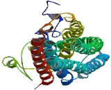 FLYWCH-Type Zinc Finger Containing Protein 1 (FLYWCH1)