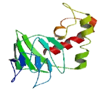 FUN14 Domain Containing Protein 1 (FUNDC1)