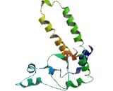 FUN14 Domain Containing Protein 2 (FUNDC2)