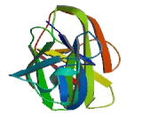 Fc Receptor Like Protein 4 (FCRL4)