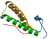 Functional Spliceosome Associated Protein 33 (fSAP33)