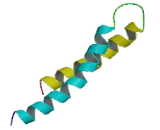 G Patch Domain Containing Protein 1 (GPATCH1)