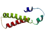 G Protein Coupled Receptor, Family C, Group 5, Member A (GPRC5A)