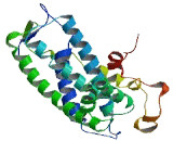 G Protein Coupled Receptor, Family C, Group 5, Member B (GPRC5B)