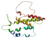 G Protein Coupled Receptor 101 (GPR101)