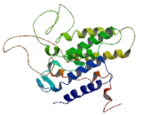 G Protein Coupled Receptor 109B (GPR109B)