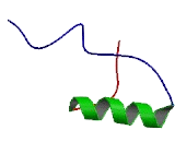 G Protein Coupled Receptor 115 (GPR115)