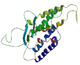G Protein Coupled Receptor 119 (GPR119)