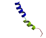 G Protein Coupled Receptor 12 (GPR12)