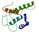G Protein Coupled Receptor 142 (GPR142)