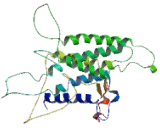 G Protein Coupled Receptor 143 (GPR143)