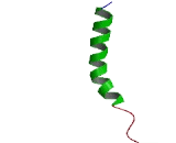 G Protein Coupled Receptor 148 (GPR148)