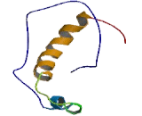 G Protein Coupled Receptor 183 (GPR183)