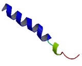 G Protein Coupled Receptor 22 (GPR22)