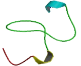 G Protein Coupled Receptor 37 Like Protein 1 (GPR37L1)