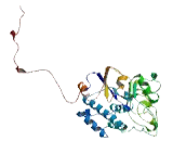 G Protein Coupled Receptor 42 (GPR42)