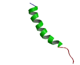 G Protein Coupled Receptor 52 (GPR52)