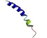 G Protein Coupled Receptor 55 (GPR55)