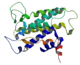 G Protein Coupled Receptor 6 (GPR6)