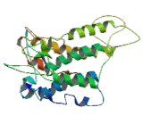 G Protein Coupled Receptor 63 (GPR63)