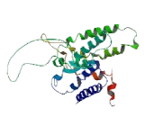 G Protein Coupled Receptor 83 (GPR83)